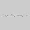 Human Androgen Signaling Primer Library